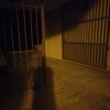dia 29 de Janeiro de 2022 3.37